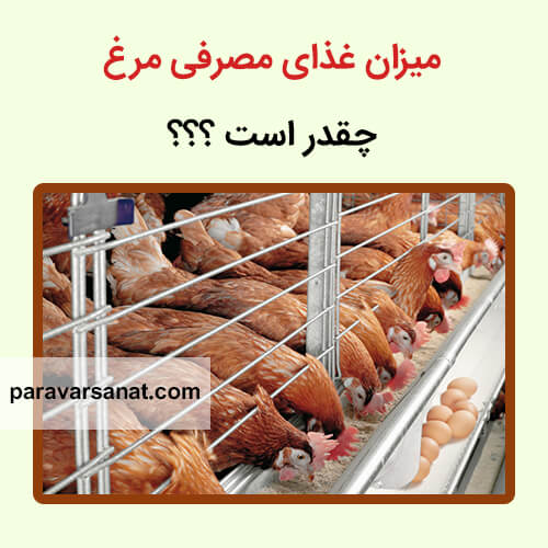 میزان غذای مصرفی مرغ
