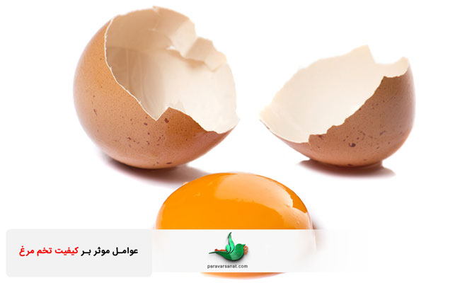 کیفیت-تخم-مرغ