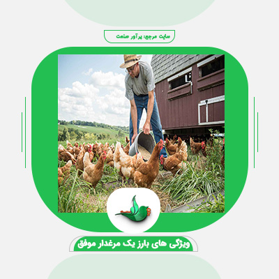 ویژگی های بارز یک مرغدار موفق چیست؟! + ( حرفه ای شوووو )