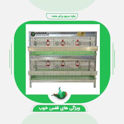 قفس خوب چه ویژگی هایی دارد؟ + [مهمترین ویژگی های قفس خوب ]