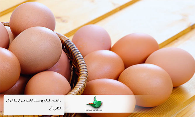 رابطه رنگ پوست تخم مرغ با ارزش غذایی آن
