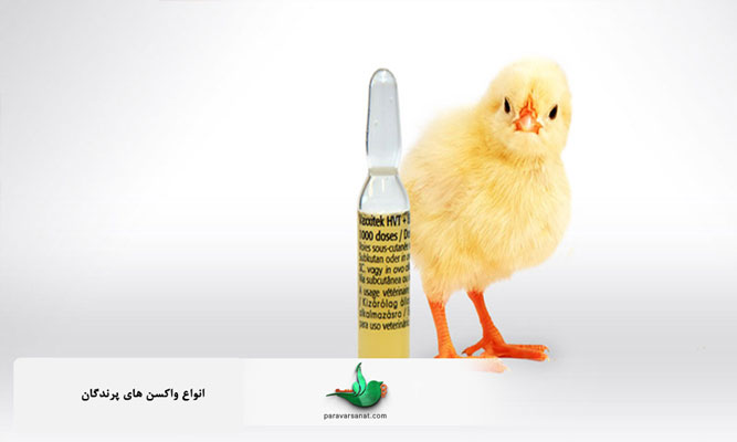 انواع واکسن های پرندگان