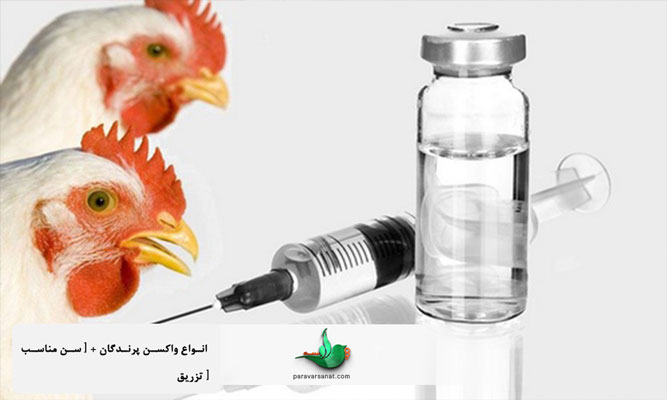 انواع واکسن پرندگان