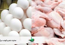صادرات تخم و گوشت مرغ